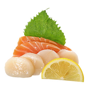 SALMON & SCALLOP SASHIMI
