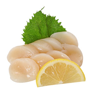 SCALLOP SASHIMI